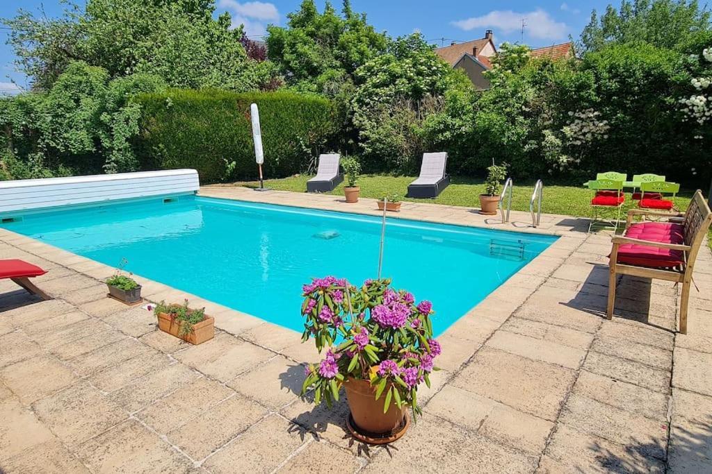 Alteckendorf Alsace Bas-Rhin Logis Independant Avec Piscine Privee 아파트 외부 사진