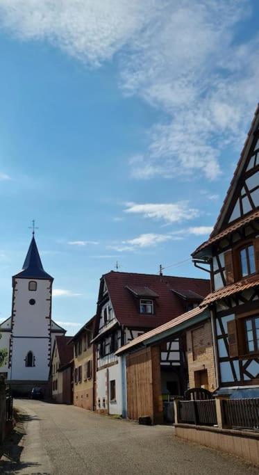 Alteckendorf Alsace Bas-Rhin Logis Independant Avec Piscine Privee 아파트 외부 사진