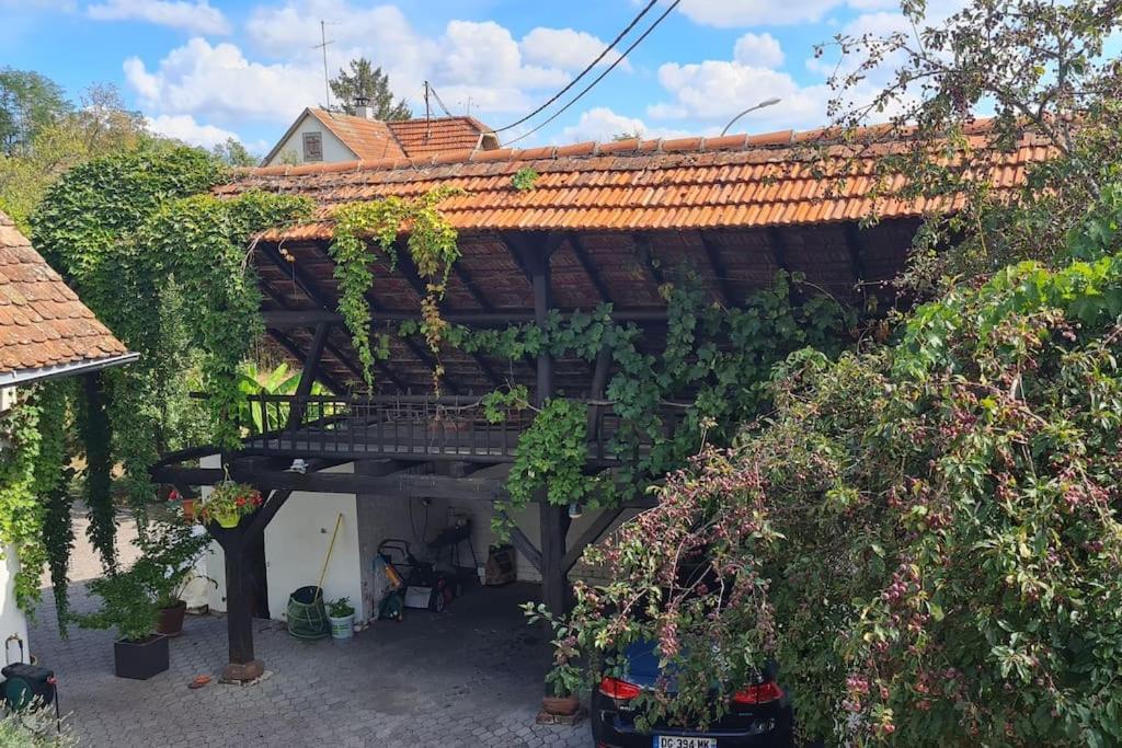 Alteckendorf Alsace Bas-Rhin Logis Independant Avec Piscine Privee 아파트 외부 사진